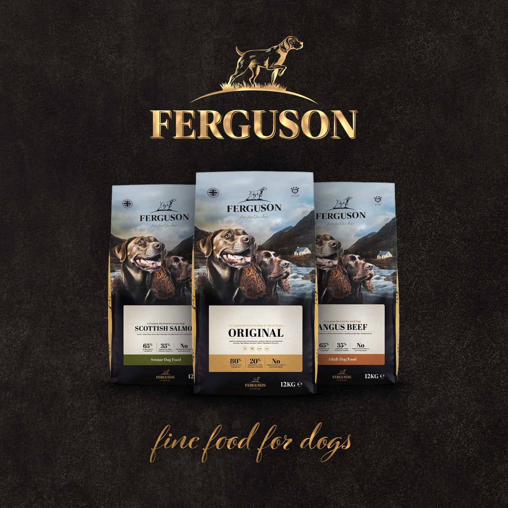 Ferguson Scottish Salmon Adult Dry Dog Food