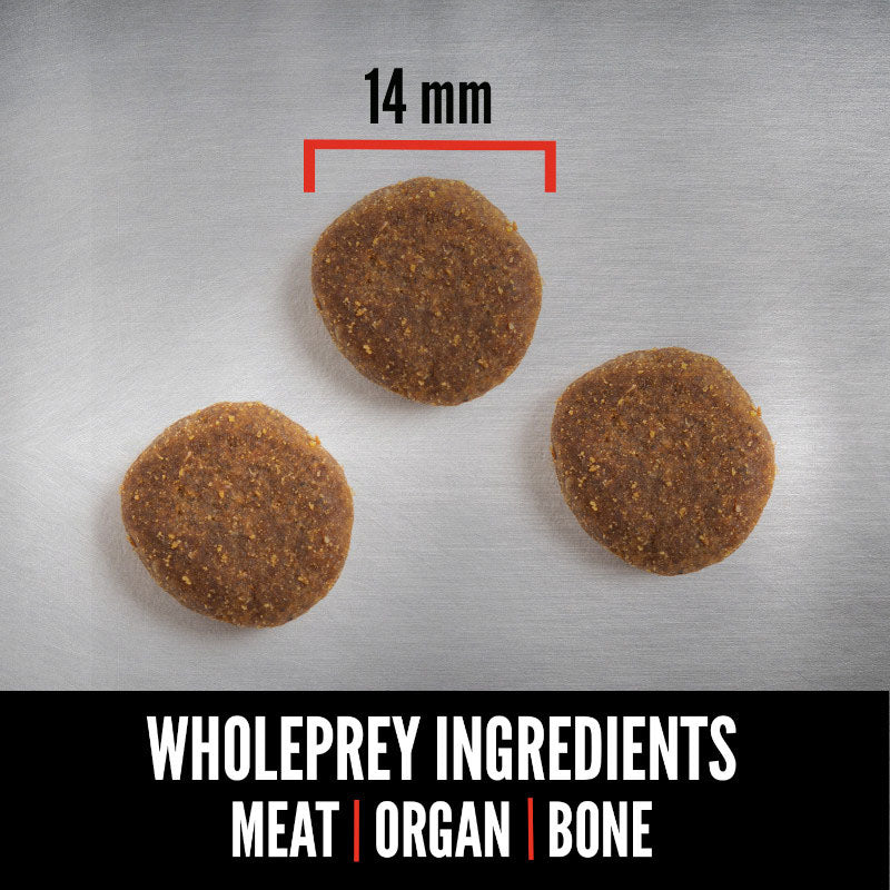 Orijen Regional Red Grain Free Dry Dog Food