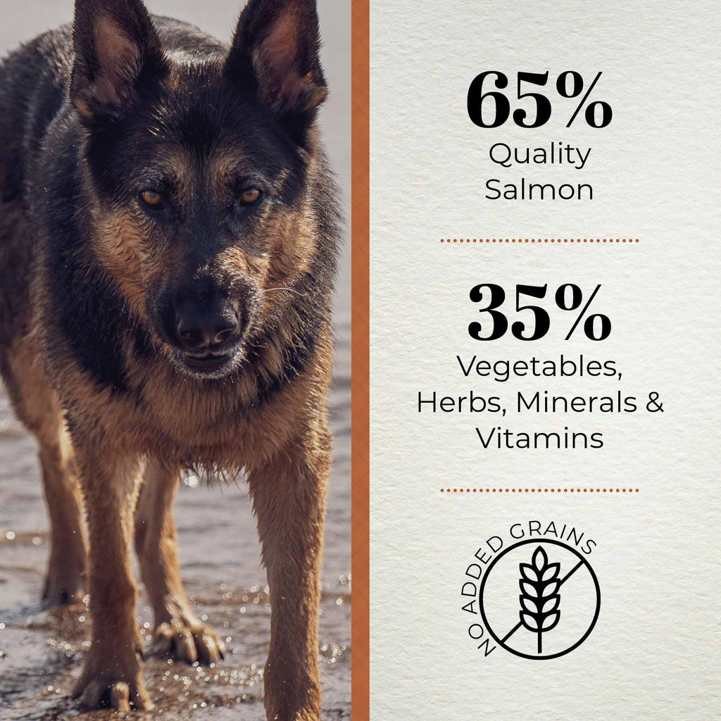 Ferguson Scottish Salmon Adult Dry Dog Food