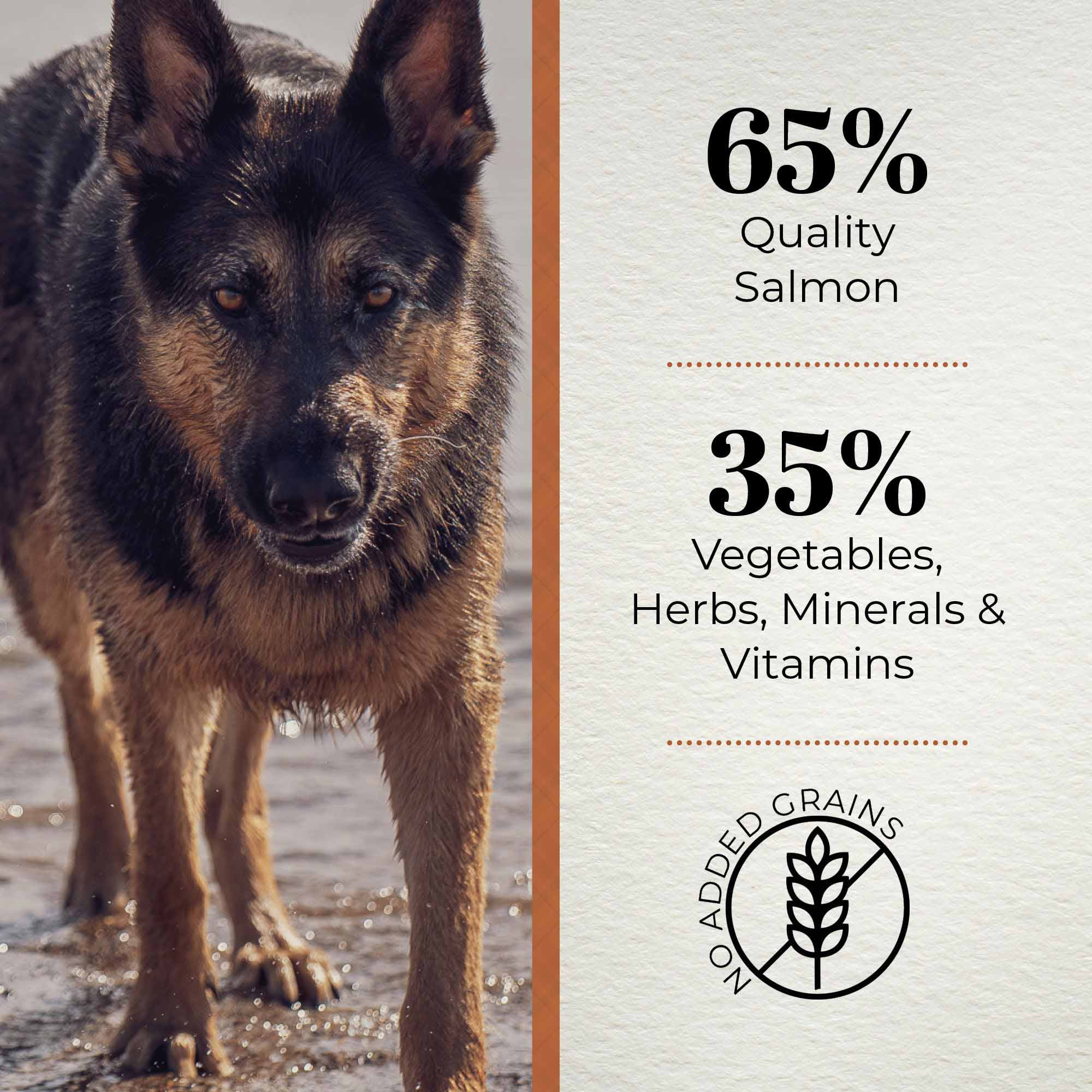 Ferguson Scottish Salmon Adult Dry Dog Food