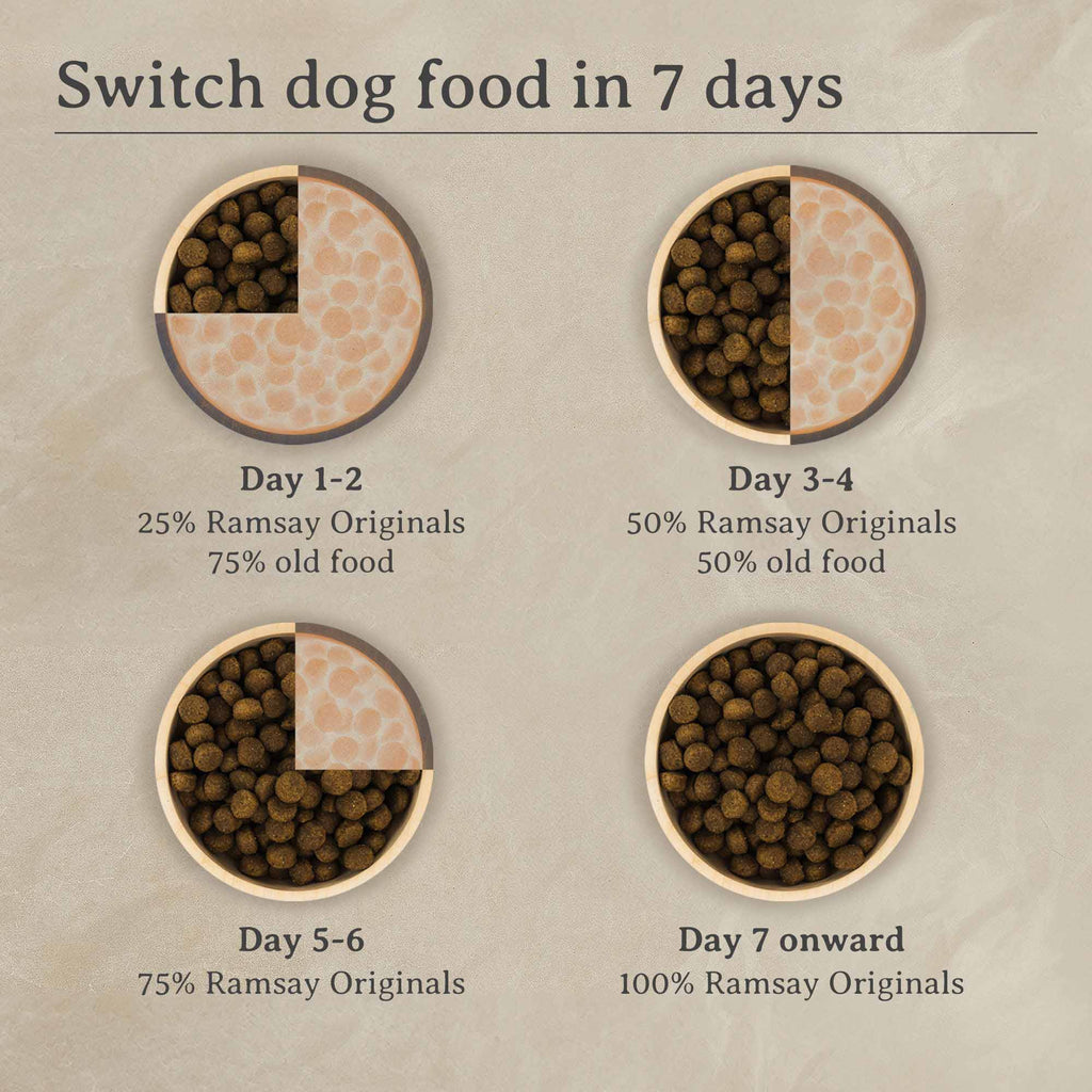 Ramsay Originals Grain Free Adult Dry Dog Food - Salmon & Potato